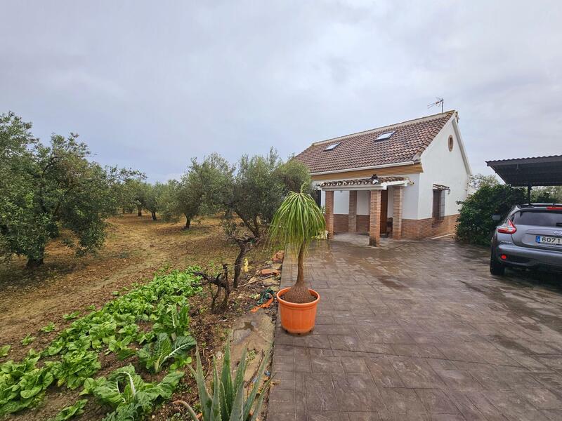 Landhaus zu verkaufen in Coin, Málaga