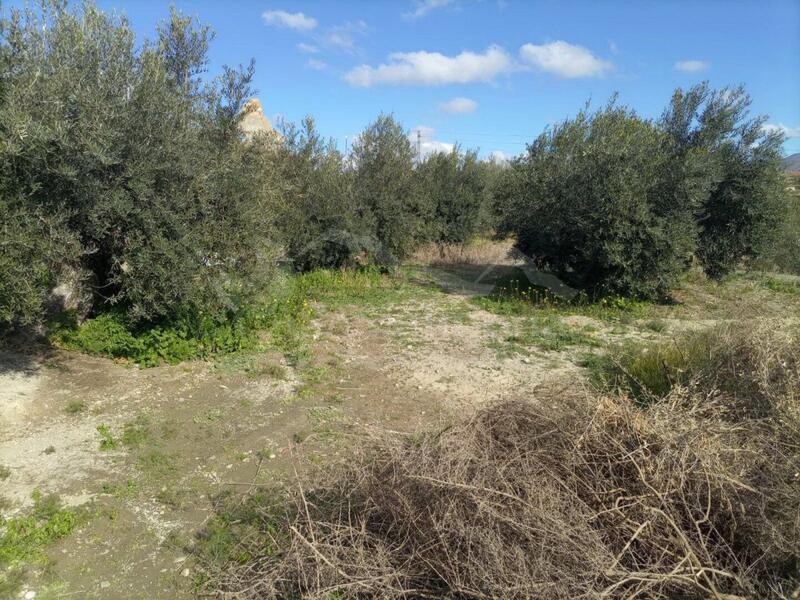 Jord til salg i Huercal-Overa, Almería