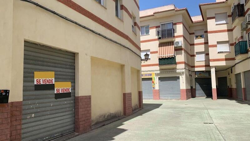 Erhvervsejendom til salg i Cullar Vega, Granada