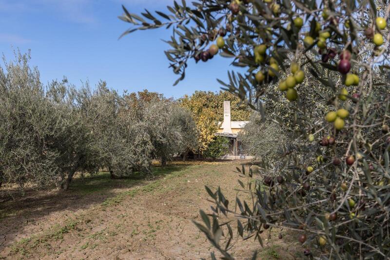 Land for sale in La Zubia, Granada