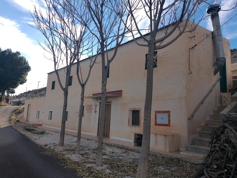Casa de Campo en venta en Cuevas de Puente Arriba, Granada