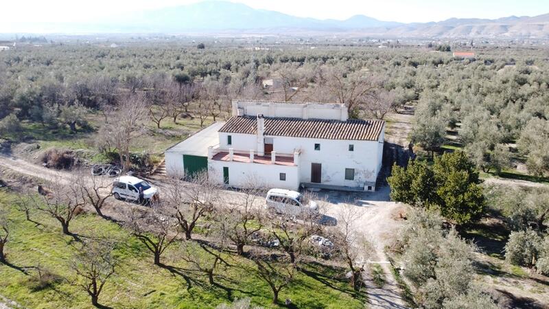 Auberge à vendre dans Baza, Granada