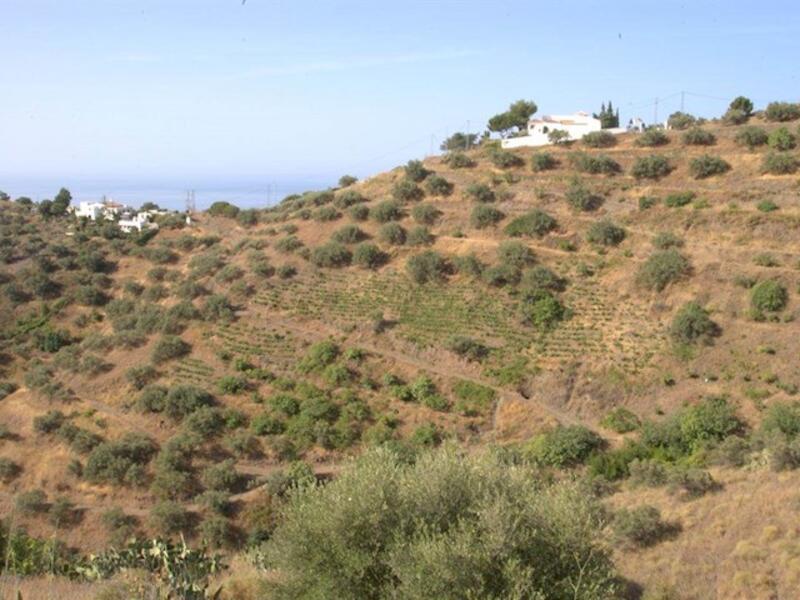 Land for sale in Torrox, Málaga
