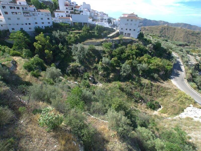 Land Te koop in Canillas de Aceituno, Málaga