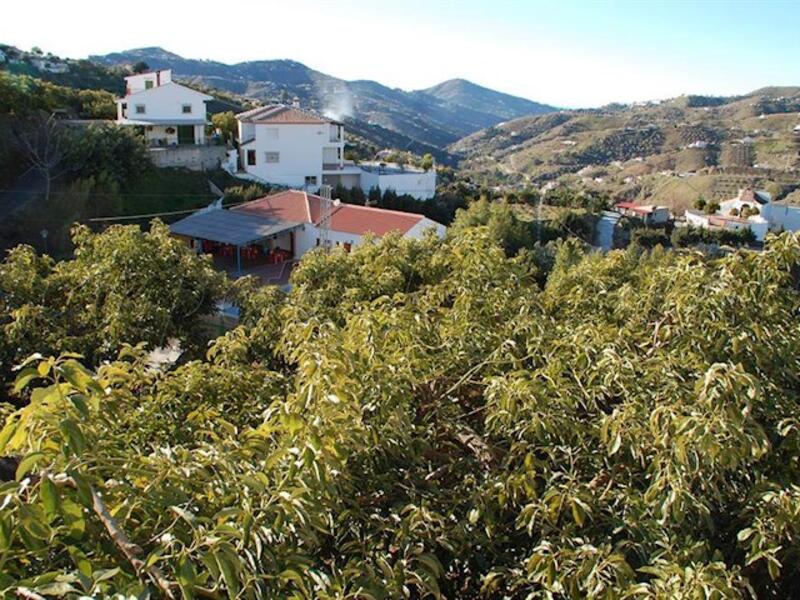 Land for sale in Canillas de Albaida, Málaga