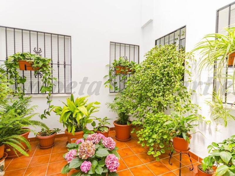 3 Cuarto Apartamento en venta