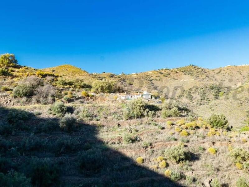 Land for sale in Torrox, Málaga