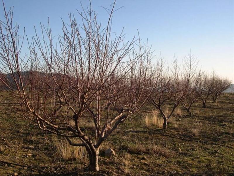 Terrenos en venta