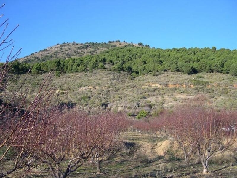 Terrain à vendre