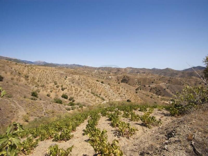 Land Te koop in Sedella, Málaga