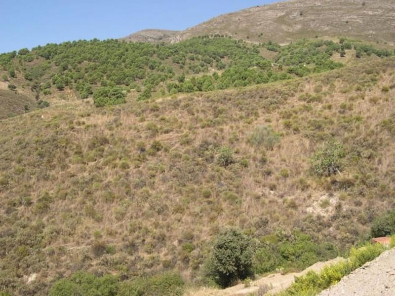 Land for sale in Sedella, Málaga