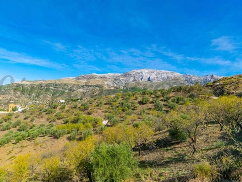 Land for sale in Sedella, Málaga