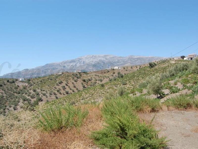 Land for sale in Archez, Málaga