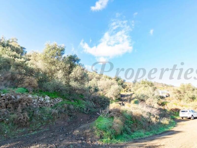 Land for sale in Torrox, Málaga