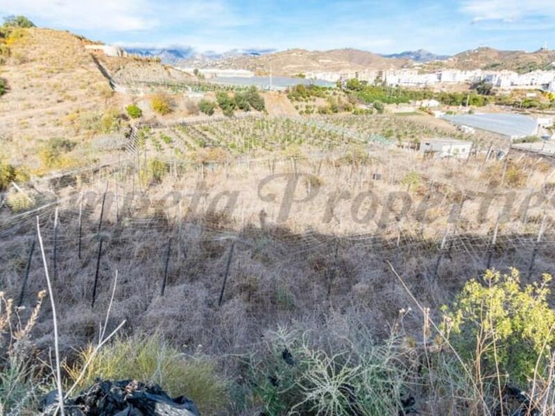 Land for sale