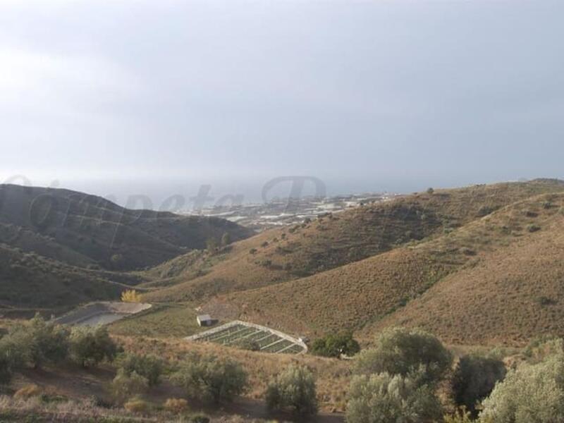 Terrain à vendre dans Sayalonga, Málaga