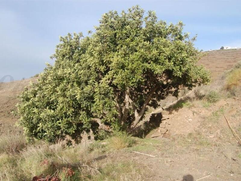 Terrenos en venta