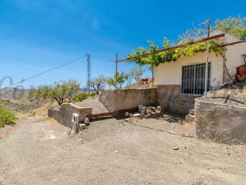 Land for sale in Sedella, Málaga