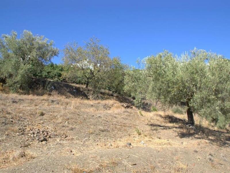 Grundstück zu verkaufen in Canillas de Albaida, Málaga