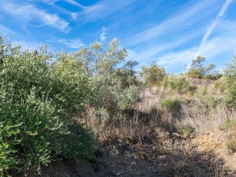 Landa till salu i Torrox, Málaga