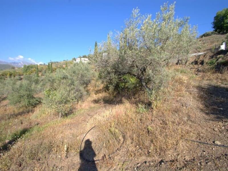 Land for sale in Competa, Málaga