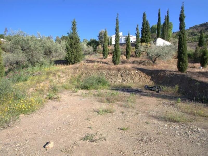 Land for sale