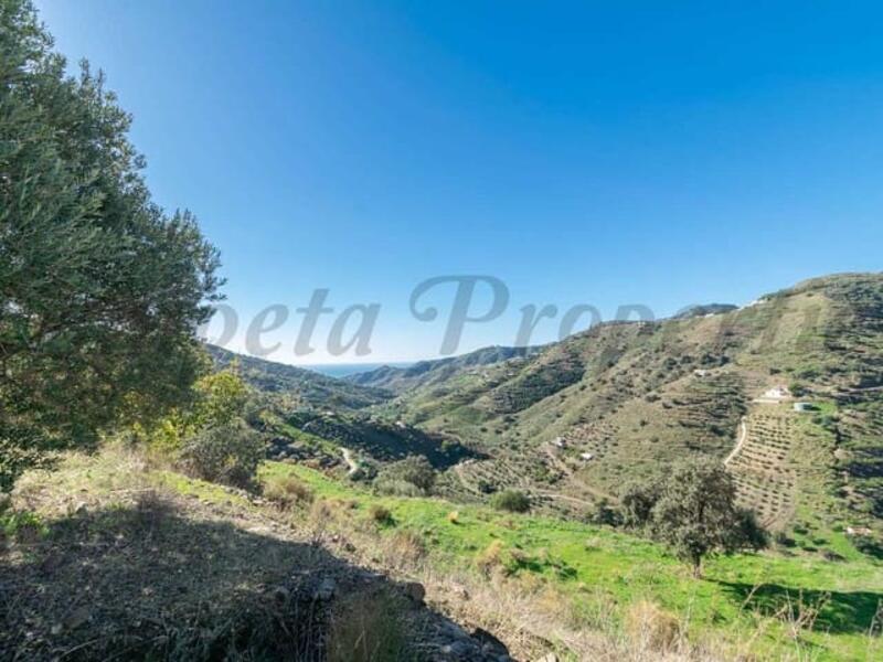 Land for sale in Torrox, Málaga