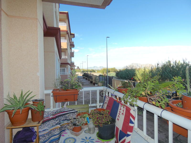 Appartement zu verkaufen in Algorfa, Alicante