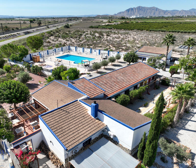 Auberge à vendre dans Crevillente, Alicante