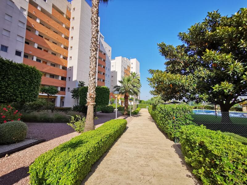 2 Cuarto Apartamento en venta