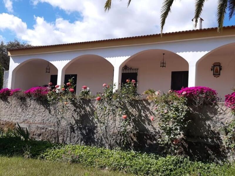 4 Cuarto Villa en venta