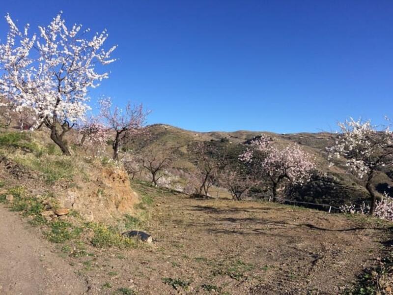 Terrenos en venta