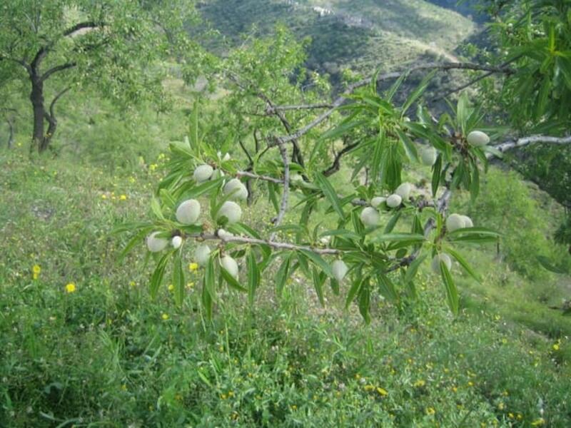 Terrenos en venta