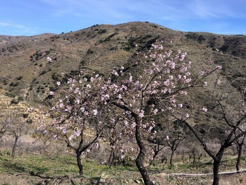 Terrenos en venta