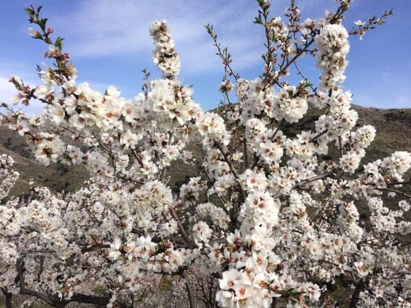 Terrenos en venta