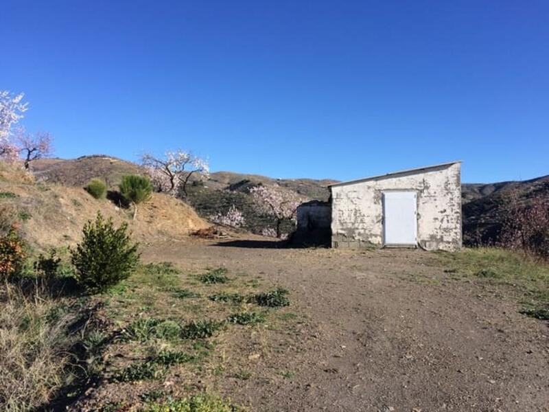 Land for sale in Albondon, Granada