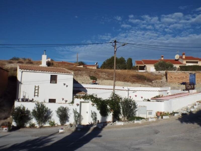 Höhlenhaus zu verkaufen in Castillejar, Granada