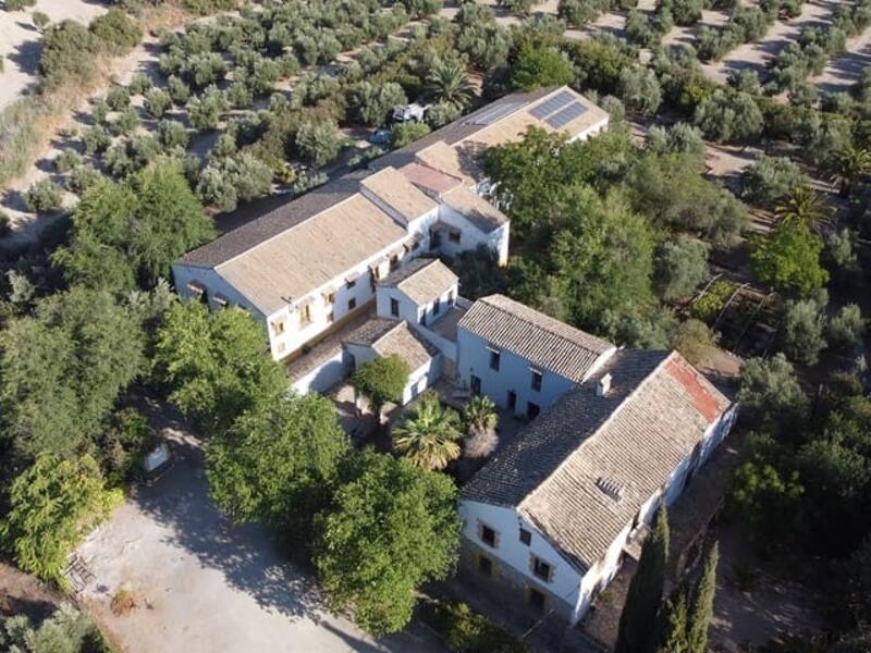 Country House for sale in Ubeda, Jaén