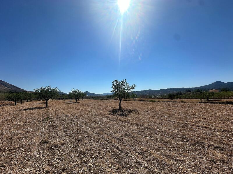 Terrain à vendre dans Macisvenda, Murcia