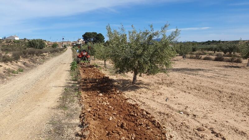 Terrenos en venta