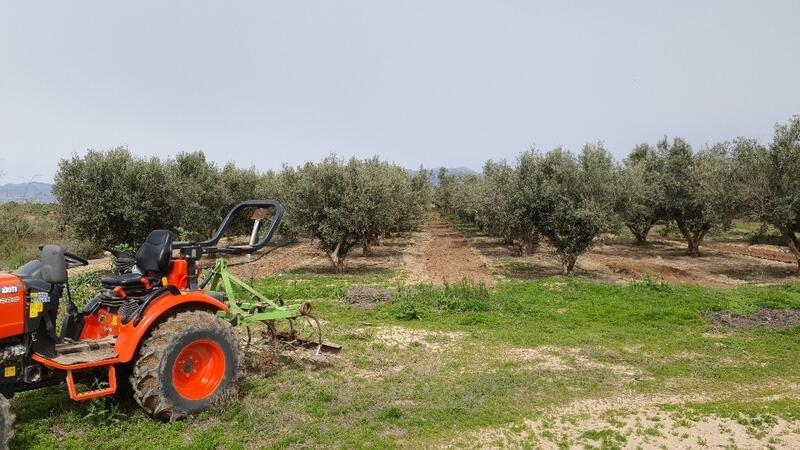 Terrenos en venta