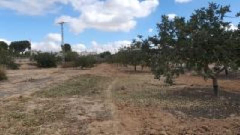 Land for sale