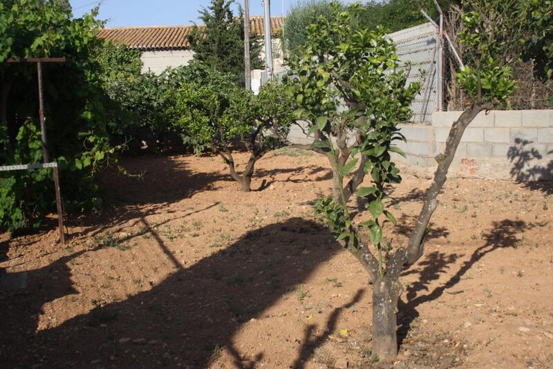 Grundstück zu verkaufen in Las Barracas, Murcia