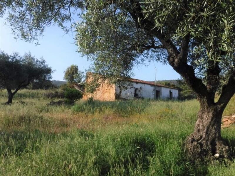 земля продается в La Codosera, Badajoz