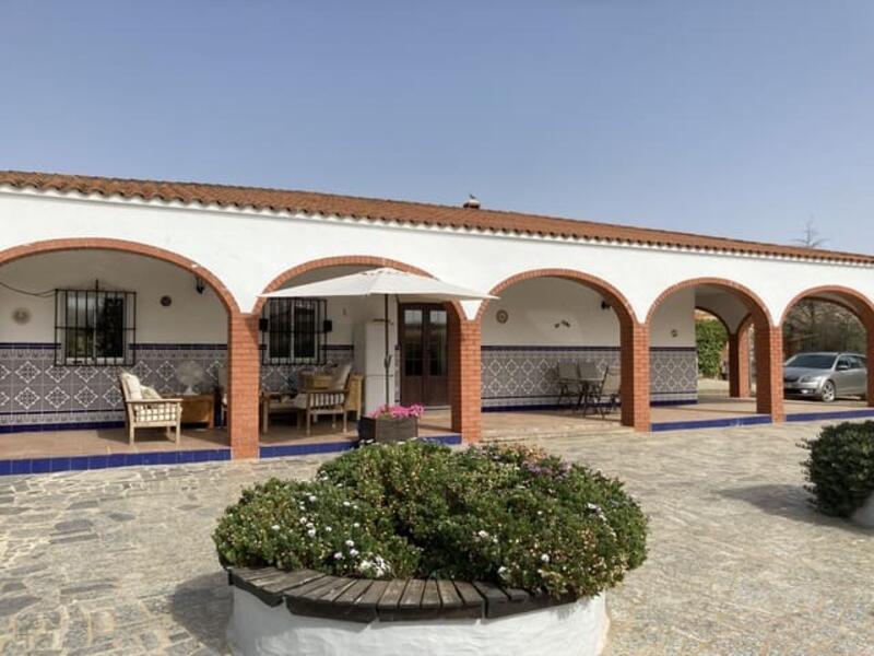 Casa de Campo en venta en Zafra, Badajoz