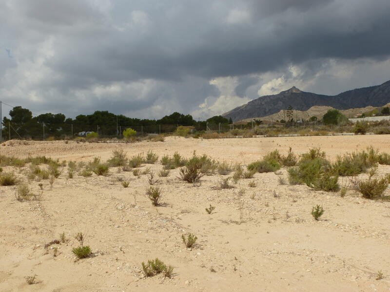 земля продается в Crevillente, Alicante
