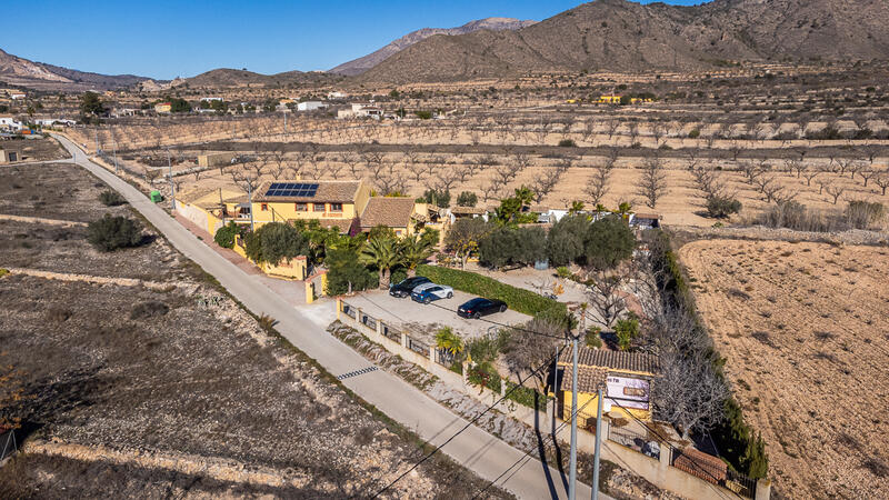 Kommersiella fastigheter till salu i Hondon de las Nieves, Alicante