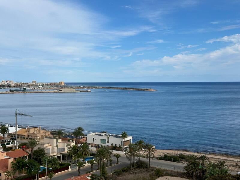 Appartement zu verkaufen in Torrevieja, Alicante