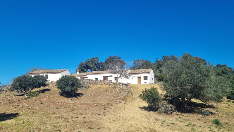 Villa à vendre dans Castellar de la Frontera, Cádiz
