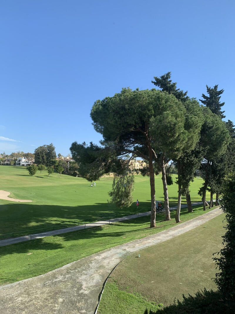 Villa zu verkaufen in Guadalmina Alta, Málaga